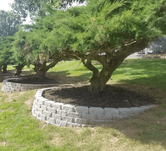 retaining wall around tree